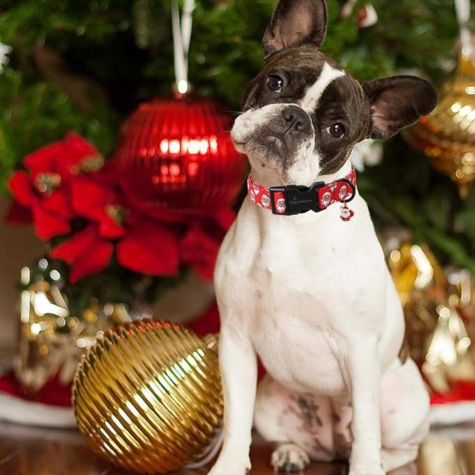ARING PET Christmas Dog Collar, Cute Red Santa Claus Christmas Pet Collars with Quick Release Buckle for Small Medium Large Girl&Boy Dogs-S