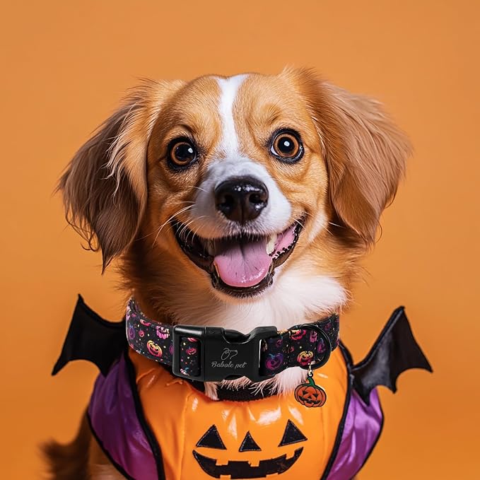 Halloween Dog Collar Spooky Fun Pumpkin Puppy Collar - Light Comfortable Adjustable Pet Collars for Small Medium Large Girl Boy Dogs S
