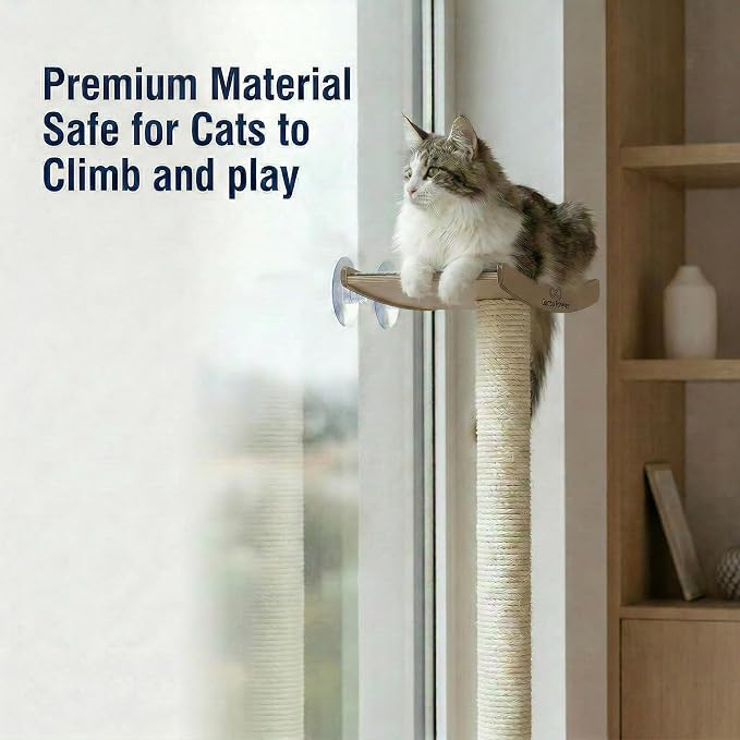 Cat Scratching Post with Perch for Large Cats – Modern Hammock Window Bed, Strong Suction Cups, Durable Eco, Space Saving Furniture for Indoor Cats