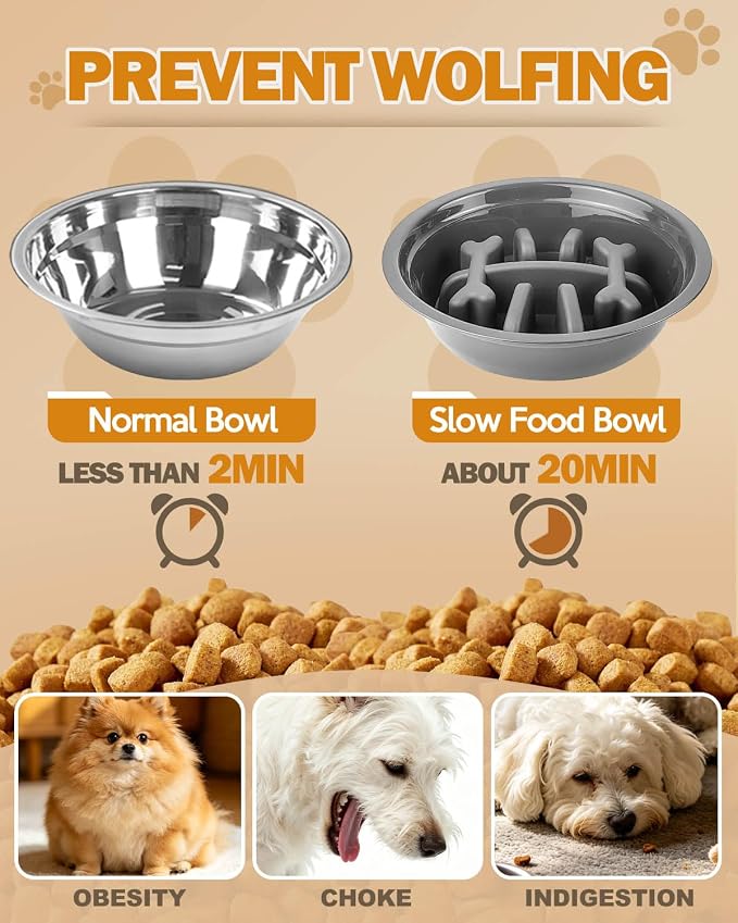 Jovrun Elevated Dog Bowls for Small Dogs and Cats, Non-Slip Cat Bowls with 1*Stainless Steel Dishes & 1*Slow Feeder Bowl, Dog Feeder 2 Heights Adjustable to 2.6"-5.3"