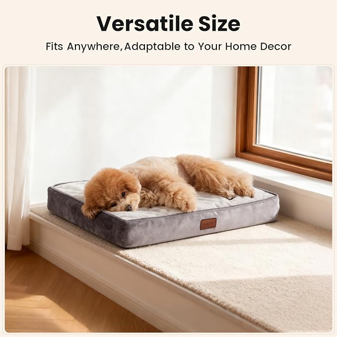 OhGeni Orthopedic Waterproof Dog Bed for Small Dogs, Machine-Washable Removable Cover in Easy-Clean Fabric, Reversible Memory Foam & Easy-Carry Handle, Suitable for Crate, 24 inch (Gray)