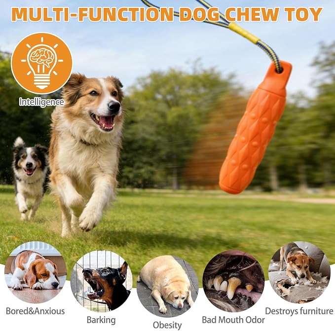 KOOLTAIL Floating Dog Toys, Interactive Water Pool Fetching Toy with Durable Rope, 11.4'' EVA Bright Bumper Dog Chew Toys for Medium Large Dogs, Summer OutdoorTraining Teething, Orange
