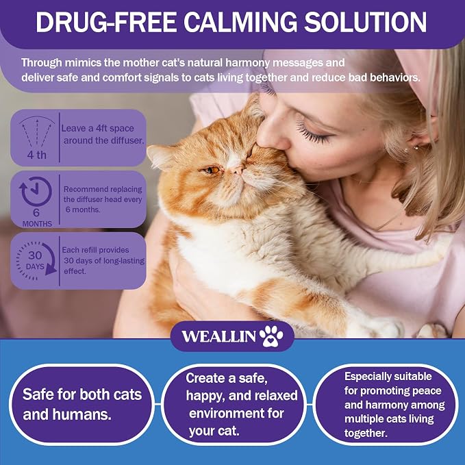 6 Pack Cat Calming Diffuser Refills - Cat Pheromones Calming Diffuser Refill Relieve Anxiety & Stress 6 Month Supply, Cat Pheromone Diffuser Refills (Fits All Common Diffuser Heads) | Cat Pheromones Calming Diffuser Refill 6 Month Supply, Cat Pheromone...