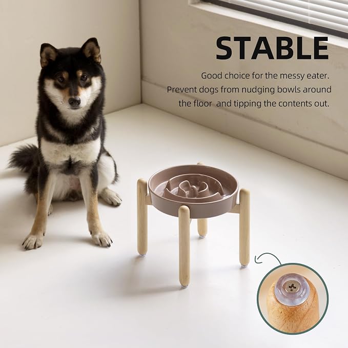 Havniva 8.2” Raised Slow Feeder Dog Bowls, 1.6 Cups Ceramic Dog Bowl Slow Feeding for Medium Breed, Elevated Puzzle Dog Food Bowl with Wooden Stand Non-Slip Anti-Gulping & Anti-Choking