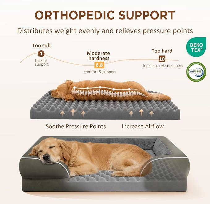 Comfort Expression Orthopedic Dog Bed for Medium Size Dog with Bolster | Waterproof Dog Couch Bed with Washable Cover & Non-Slip Bottom, Supportive Egg Crate Foam Medium Pet Bed, 30x20 Inch
