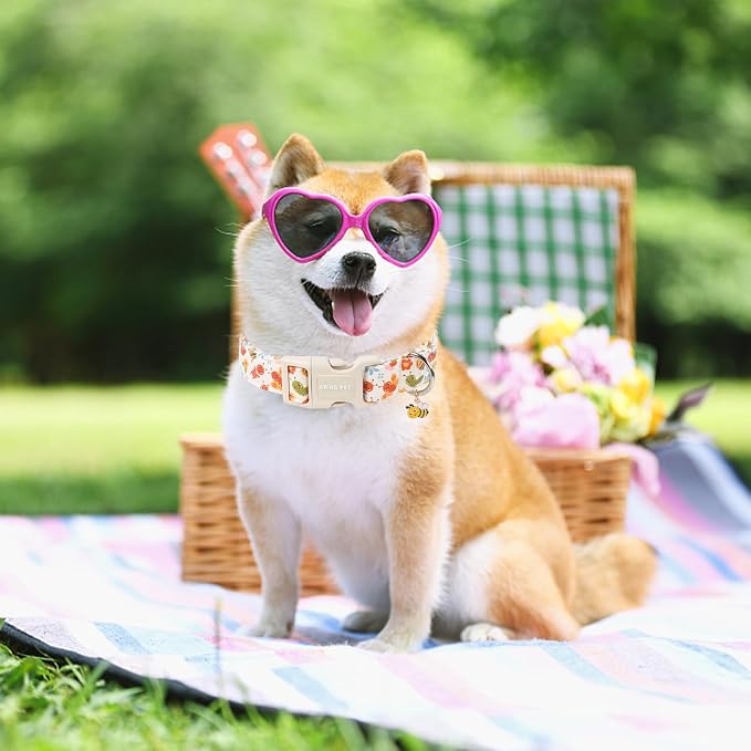ARING PET Dog Collar, Cute Spring Summer Insects Bee Floral Doggy Collars with Quick Release Buckle for Puppy Small Medium Large Dogs-M