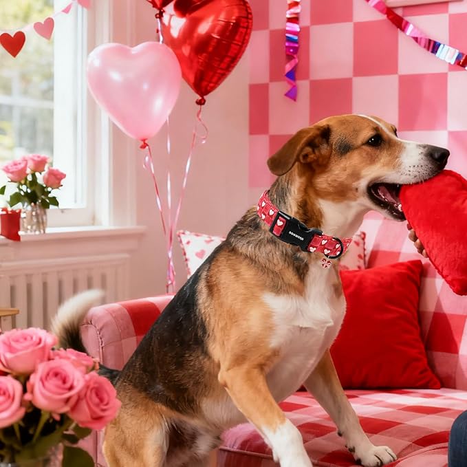 DOGWONG Valentine's Day Dog Collar-Cute Blue Heart Dog Collars, Adjustable Valentine Heart Pet Collars Puppy Collar with Quick Release Buckle for Girl&Boy Dogs,M