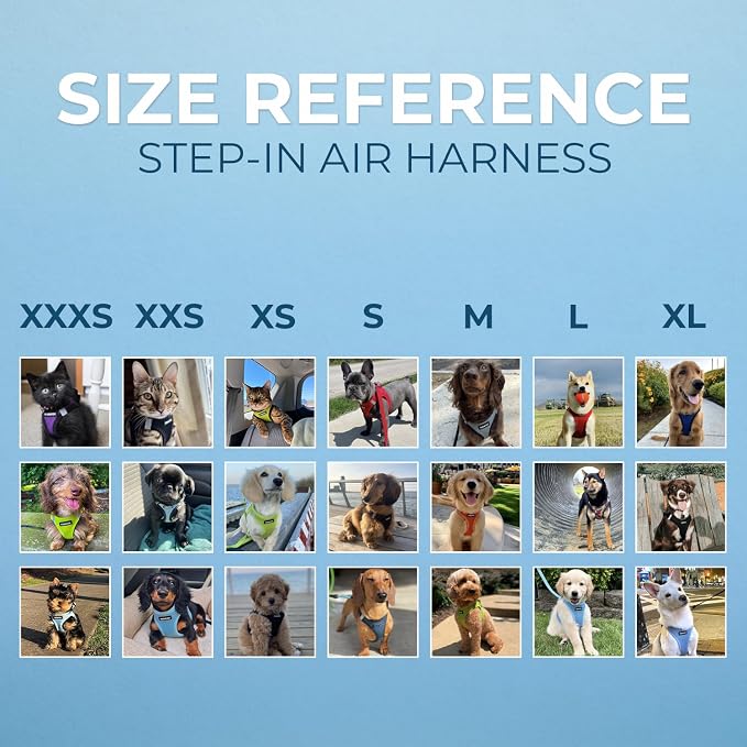 Voyager Step-in Air Dog Harness - All Weather Mesh, Reflective, No Pull Harness for Small, Medium Dogs, Cats - Secure with Hook & Loop Fastener, Buckle, Double D-Rings - Lime Green 2-Tone, XS