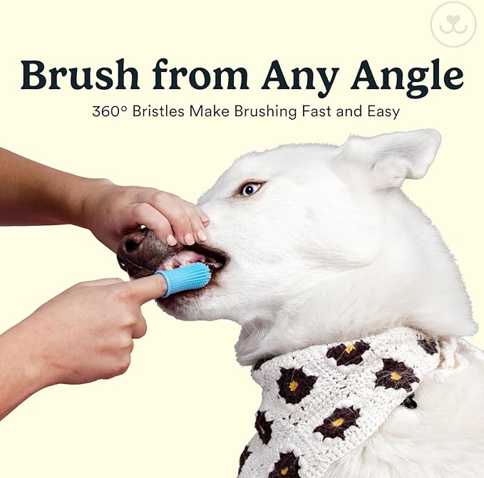 Jasper Dog Toothbrush, 360 Degree Pet Tooth Brushing Kit, Cat Toothbrush, Canine Dental Care & Teeth Cleaning Kit, Pet Finger Tooth Brush, Use with Dog Toothpaste, 4-Pack Multicolor