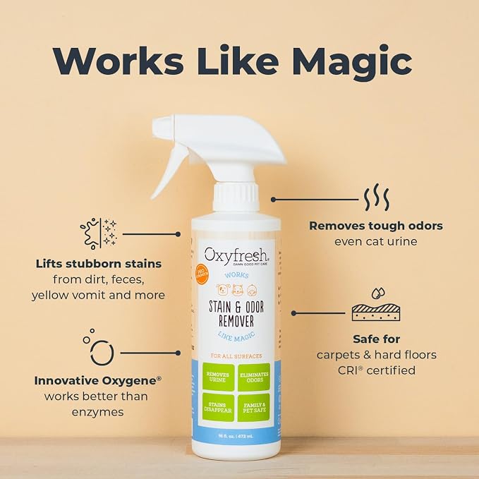 Oxyfresh Premium Strong Dog and Cat Stain Remover & Odor Eliminator | Extra Strong Odor Eliminator – Carpet Stain Remover for Cats & Dog Pee – Urine Destroyer – Removes Carpet Stains on First Try