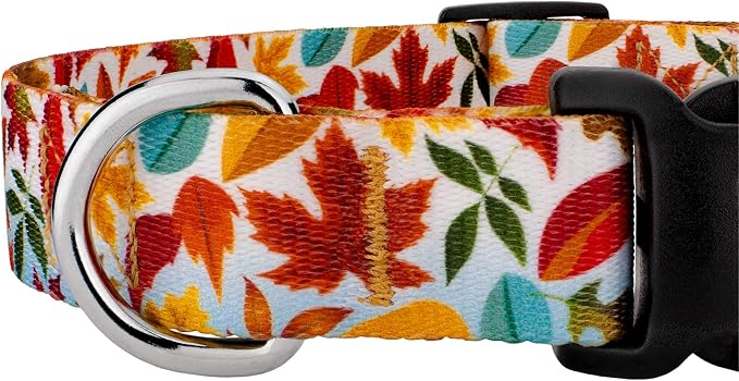 Country Brook Petz - Brisk Autumn Everyday Dog Collar - Made in The U.S.A. - Awesome Autumn Collection Featuring Designs You'll Fall for (1 Inch, Medium)