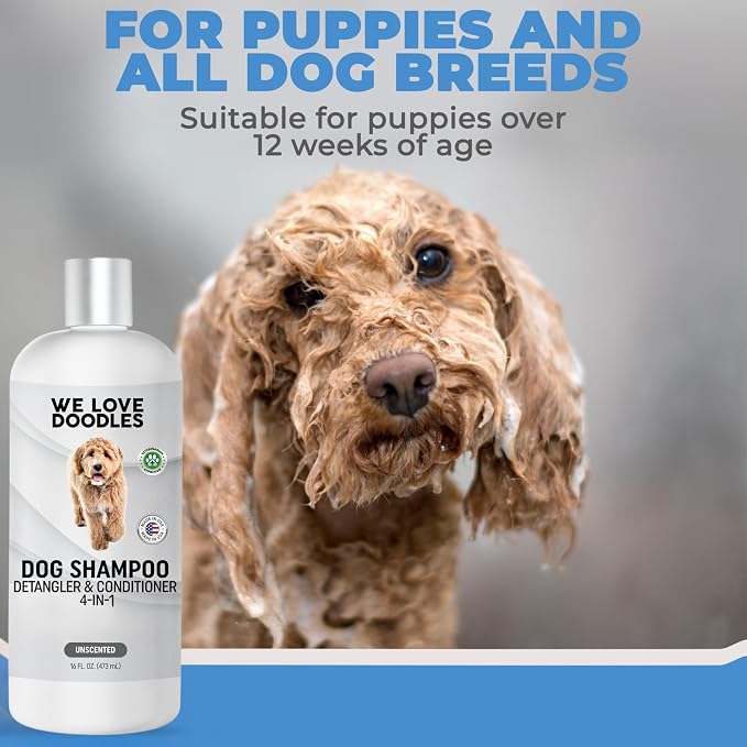 Dog Shampoo Conditioner & Detangler, Hypoallergenic Tearless Unscented 16OZ | For Sensitive Itchy Skin, Best Shampoo For Smelly Dogs, Goldendoodle, Poodle & Doodle, Puppy Pet Wash Soap, USA Made, 4-in-1