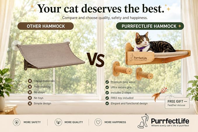 Cat Window Perch for Indoor Cats – 2-in-1 Solid Wood Cat Hammock Window Seat & Wall Mount with 9 Suction Cups, Climbing Steps + Hanging Toy – Supports 40 lbs, Bird Watching & Sunbathing