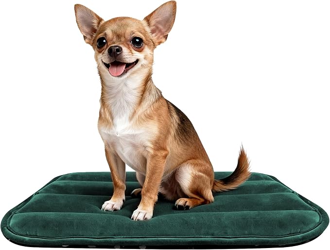 pobopobo Dog Crate Pad, Ultra Soft & Anti-Slip Kennel Mat, Secure Fit for Metal Crates & Dog Cages, Washable Cozy Bed for Small Medium Large Dogs (Green, S(23"*14"*1.5"))