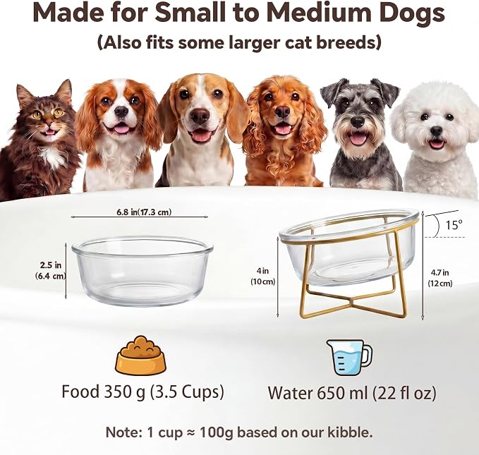 Large Glass Tilted Elevated Cat Dog Bowl Raised Cat Food Water Bowl Dish Pet Comfort Feeding Bowls with Gold Iron Stand