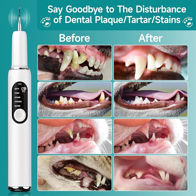 Dog Teeth Cleaning Kit Dog Plaque and Tartar Remover with LED Light 5 Adjustable Modes Electric Toothbrush Pet Teeth Cleaner for Dogs and Cats (White and Blue Finger Cots)