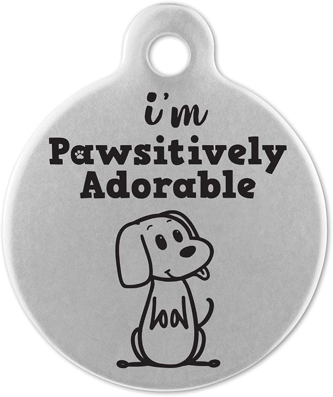 If It Barks - Engraved Pet ID Tags for Dogs - Personalized Stainless Steel Identification Tags - Custom Name Tag Attachment - Made in USA, I'm Pawsitively Adorable