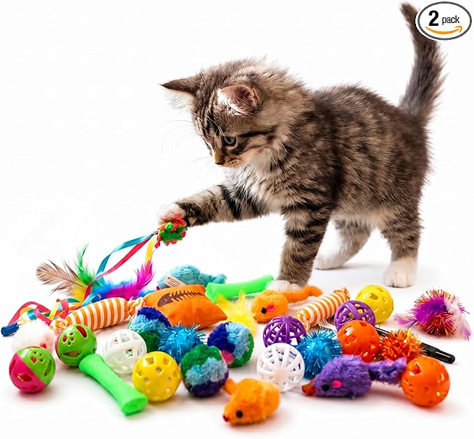 Kitty Catnip Toys- 60 Interactive Cat Toys for Indoor Cats & Kittens – Crinkle Balls, Sparkle Pom Pom Balls, Spiral Springs, Cat Mice, Teaser Wand, Kitten Toys - Variety Pack
