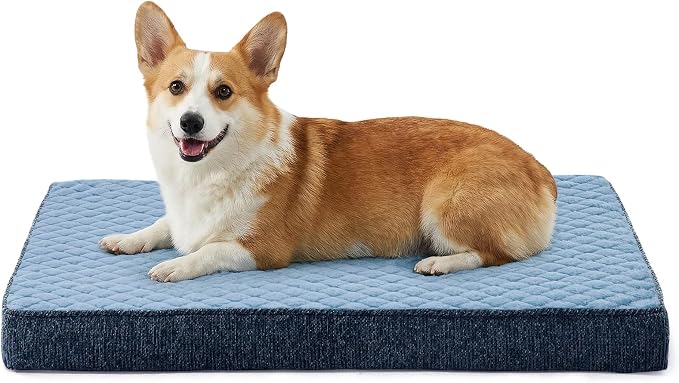 JOEJOY Orthopedic Medium Dog Bed, Washable Dog Crate Bed Medium Sized with Removable Cover, Egg Memory Foam Pet Beds, Blue, 29"x18"