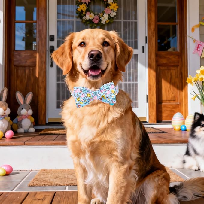 DOGWONG Easer Dog Collar with Bow,Blue Bunny Easter Dog Collars, Adjustable Durable Soft Flower Easter Dog Collar for Male Female Puppy,XL
