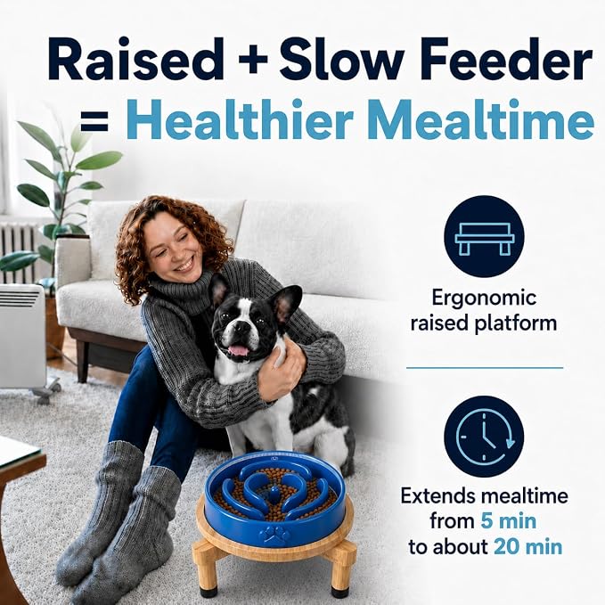 Slow Feeder Dog Bowls – Elevated Dog Bowl Slow Feeder with Bamboo Stand– Microwaveable Dog Slow Feeder for Small and Medium Dogs – Lead and BPA-Free Ceramic Pet Bowl – Pet Feeder for Fast Eaters