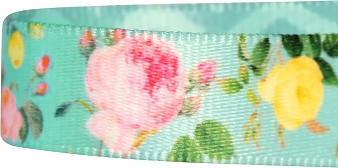 Blueberry Pet Mint Tropical Dog Collar, Adjustable Medium Size, Neck 14.5”-20”, Printed Pet Collar for Medium Dogs