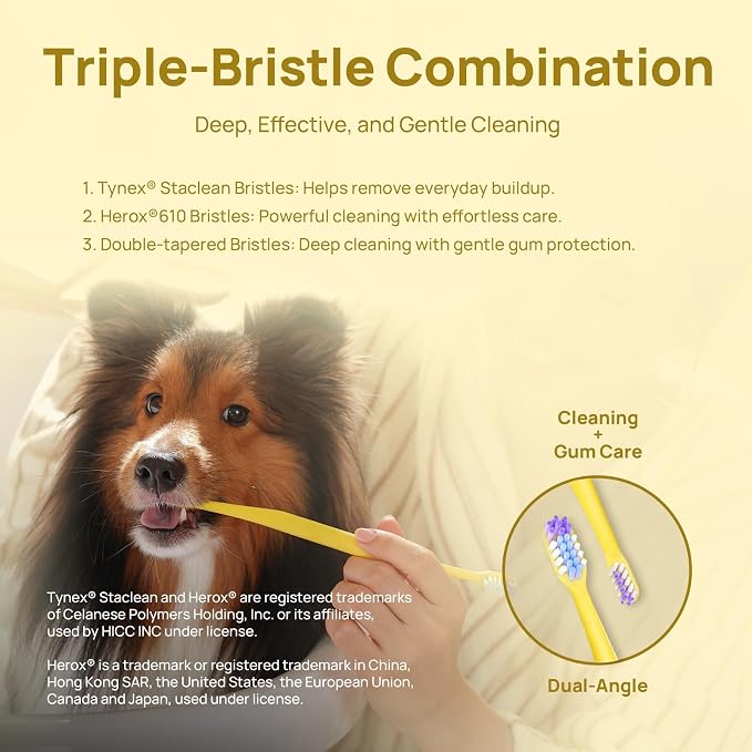 HICC PET Toothbrush for Dogs & Large Cats, Ergonomic Pet Toothbrush for Easy Teeth Cleaning,Gentle on Gums, Cat & Dog Oral Care – Toothpaste Not Included