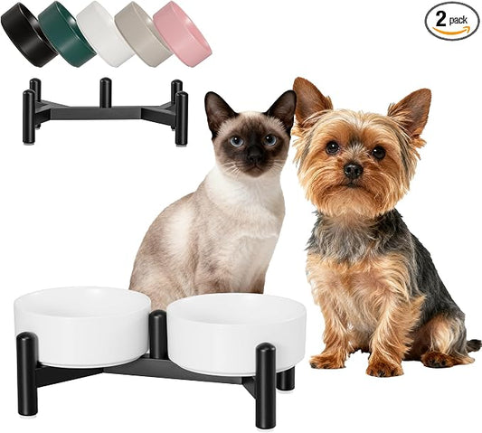 Raised Ceramic Dog Bowl Set - Elevated Double Dishes with Stainless Steel Stand - Food and Water Bowls for Small Dogs and Indoor Cats - Each Holds 1.6 Cups (10.8 fl oz) - White