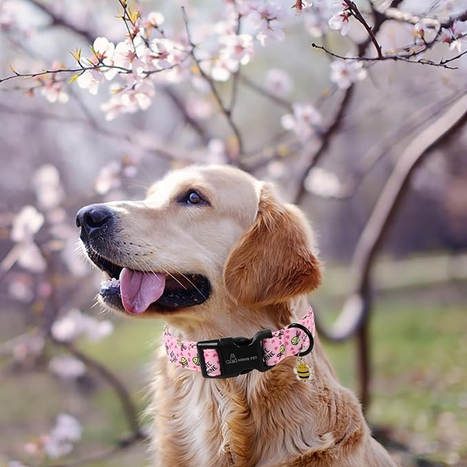ARING PET Bee Dog Collar, Cute Spring Summer Pink Yellow Honeybees Pet Collars for Puppy Small Medium Large Boy Girl Dogs-XL