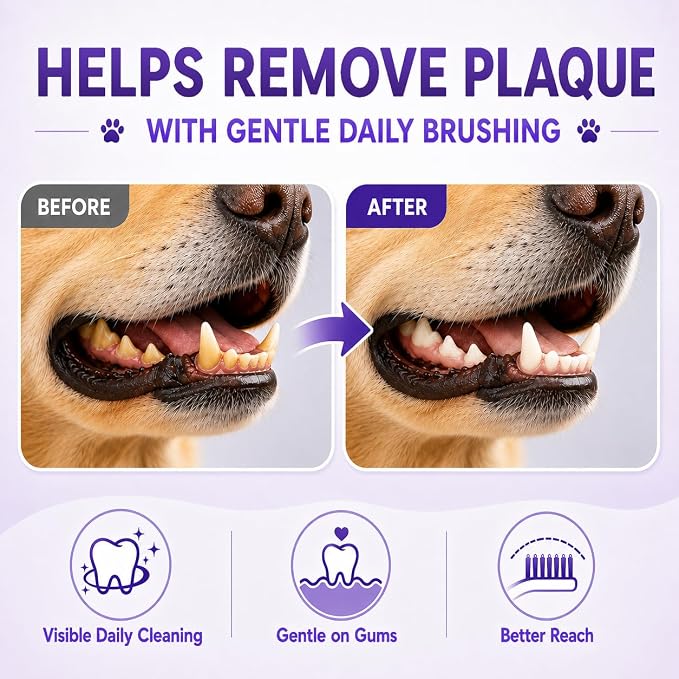 Dog Toothbrush, Dual-Head, for Medium Large Dogs, Purple | Soft Bristles for Gentle Cleaning ,60° Curved Bristles for Better Coverage ,Comfortable for Sensitive Gums