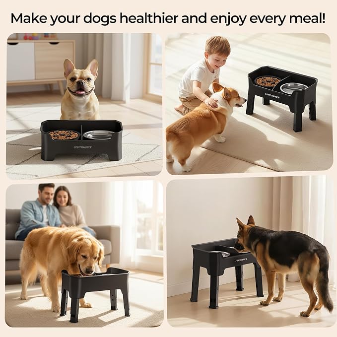 URPOWER Mess Proof Elevated Dog Bowls, High Wall Splash Guard Design, 4 Height Adjustable Raised Bowl Stand with Stainless Steel & Slow Feeder Bowl, Non-Slip Food Water Set for Small Medium Large Dogs