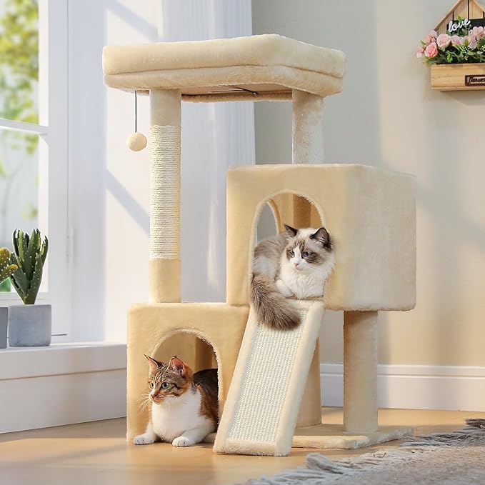 PAWZ Road Cat Tree, 35 Inches Cat Tower with Dual Condos for Adult Cats,Enlarged Top Perch, Scratching Posts&Pad for Indoor Cats-Beige