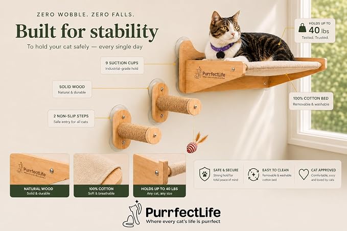 Cat Window Perch for Indoor Cats – 2-in-1 Solid Wood Cat Hammock Window Seat & Wall Mount with 9 Suction Cups, Climbing Steps + Hanging Toy – Supports 40 lbs, Bird Watching & Sunbathing