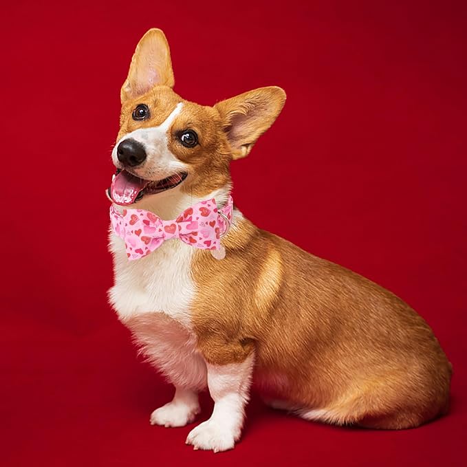 DOGWONG Valentine's Dog Collar with Bow - Cute Heart Bowtie Dog Collars, Adjustable Valentine Pink Heart Pet Collars Design Dog Collar with Quick Release Buckle for Puppy Girl Boy Female Dogs