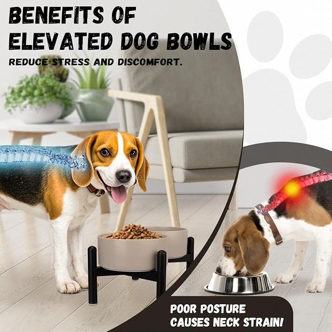 Raised Ceramic Dog Bowl Set - Elevated Double Dishes with Stainless Steel Stand - Food and Water Bowls for Small to Medium Dogs - Each Holds 3.5 Cups (29.57 fl oz) - Pink