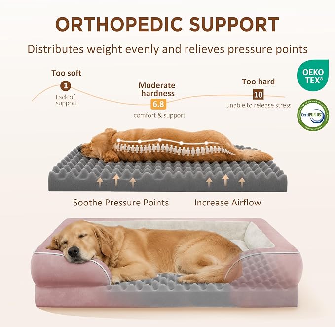 Comfort Expression Orthopedic Dog Bed for Medium Size Dog with Bolster | Waterproof Dog Couch Bed with Washable Cover & Non-Slip Bottom, Supportive Egg Crate Foam Medium Pet Bed, 30x20 Inch