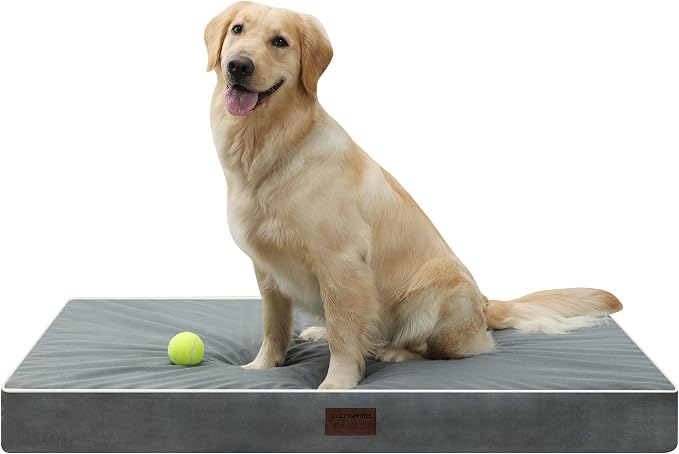Orthopedic Dog Bed,Big XL Sized Dog 42''X30''x4'' Soft Waterproof Egg Foam Pet Crate Beds Mat or Kennel Pads with Removable Washable Cover,Non-Slip Bottom,Dark Grey