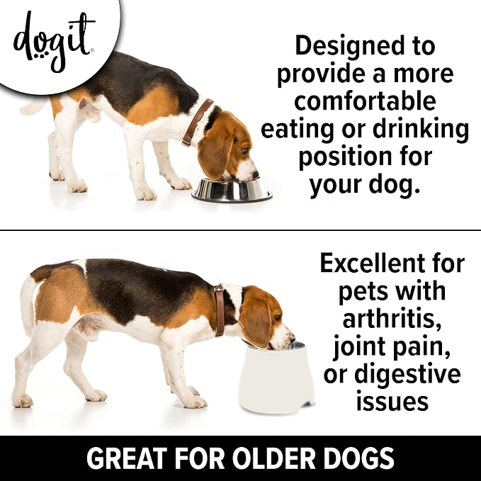 Dogit Elevated Dog Bowl for Large Dogs, White | Stainless Steel Dog Food and Water Bowl