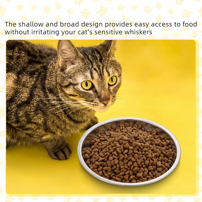 Domensi 12 Pieces Stainless Steel Cat Bowl Metal Pet Food Dish Beard Fatigue Relief Replacement Easy to Clean Indoor Wet Feeding Flat Plates for Dogs Kitten and Other Small Animals(6.3 Inch,Cat)