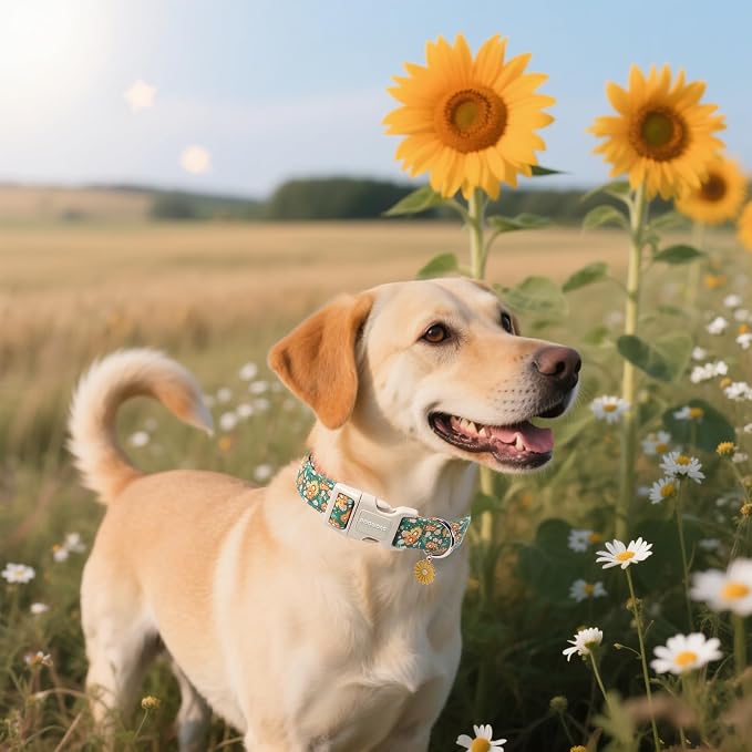 DOGWONG Flower Dog Collar, Fall Sunflower Dog Collars, Adjustable Cute Pet Collars Girl Design Dog Collar for Small Medium Large Dogs