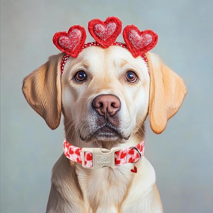 Valentines Dog Collar for Puppy Small Dogs - Cute Pink Girl Dog Collar, Doodle Heart Pattern, Adjustable Valentine Dog Collars with Red Heart Charm XS