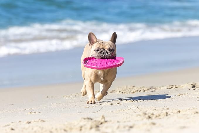 PROJECT HIVE ·PET COMPANY· Dog disc - Great for Fetch - Includes a Lick mat on Back - Floats in Water, Smooth Glide - Made in The USA (Wild Berry)