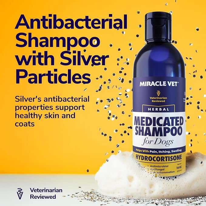 Miracle Vet Medicated Dog Shampoo for Itchy Skin Relief - Antifungal for Dog Allergy Relief, Yeast Infection, Hot Spot & Dry Skin Anti-Itch Treatment Wash - Hydrocortisone 8 fl oz
