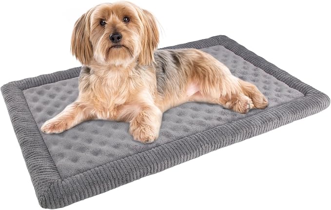 Dog Crate Pad 24x17 inch Gray Memory Foam Dog Bed Mat for Small Dog Cat Grey Washable Puppy Sleeping Bed Anti Slip | 24x17 inch Gray Dog Mat for Small Dog Cat Puppy Sleeping Bed Anti Slip Grey