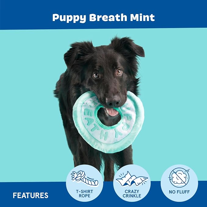 Barkbox Puppy Breath Mint Dog Toy | Fluff-Free Crinkle Disc with T-Shirt Rope | Durable Tug & Fetch Toy for Dogs