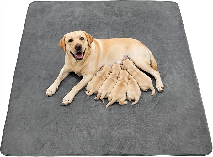 Washable Dog Pee Pads, 34x52, Absorbent, Waterproof, Reusable Whelping Pads | Non-Slip, Dog Mats for Puppy Training, Whelping, Potty, Playpen, Crate, Incontinence, Housebreaking