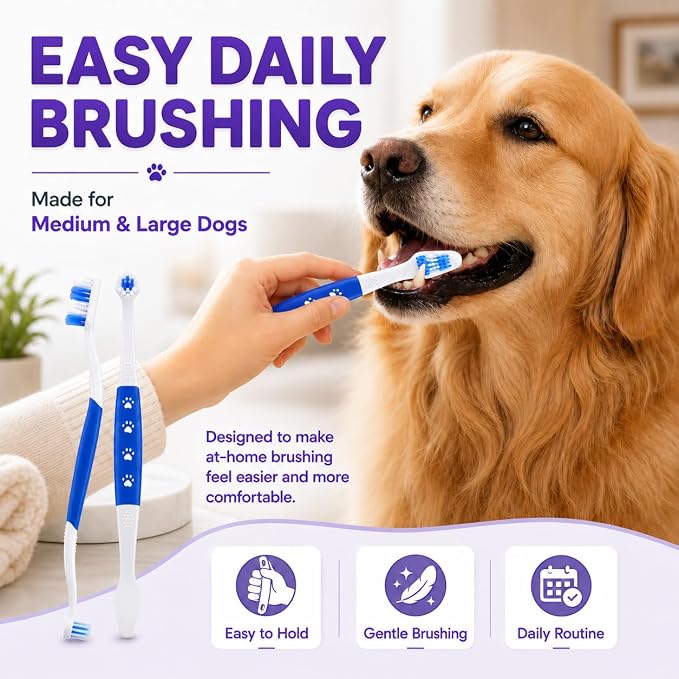Dog Toothbrush, Dual-Head, for Medium-Large Dogs,Blue | Soft Bristles for Gentle Cleaning, 60° Curved Bristles for Better Coverage, Comfortable for Sensitive Gums