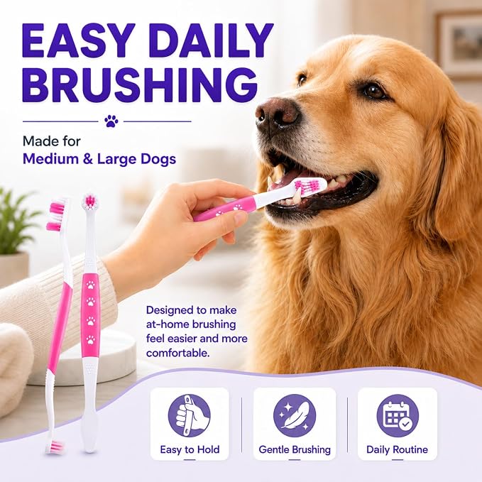 Dog Toothbrush, Dual-Head, for Medium-Large Dogs,Pink | Soft Bristles for Gentle Cleaning, 60° Curved Bristles for Better Coverage, Comfortable for Sensitive Gums