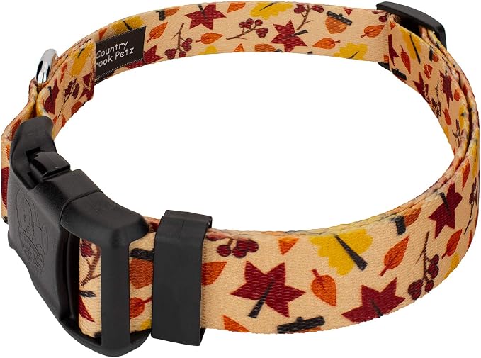 Country Brook Design 1/2 Inch Adjustable Everyday Dog Collar for Small, Medium, Large Breeds - Autumn and Fall Collection with Multiple Designs (Fall Foliage, 2XS)