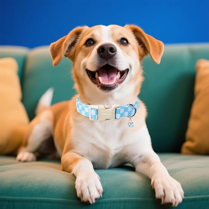 DOGWONG Blue Checkered Dog Collar, Blue Plaid Dog Collars, Adjustable Cute Boy Pet Collars Girl Design Dog Collar for Small Medium Large Dogs,XL